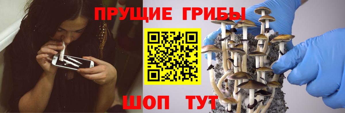 Гудермес  хочу   Вход с VPN  Галлюциногенные грибы Magic Shrooms  Галлюциногенные грибы MAGIC MUSHROOMS 